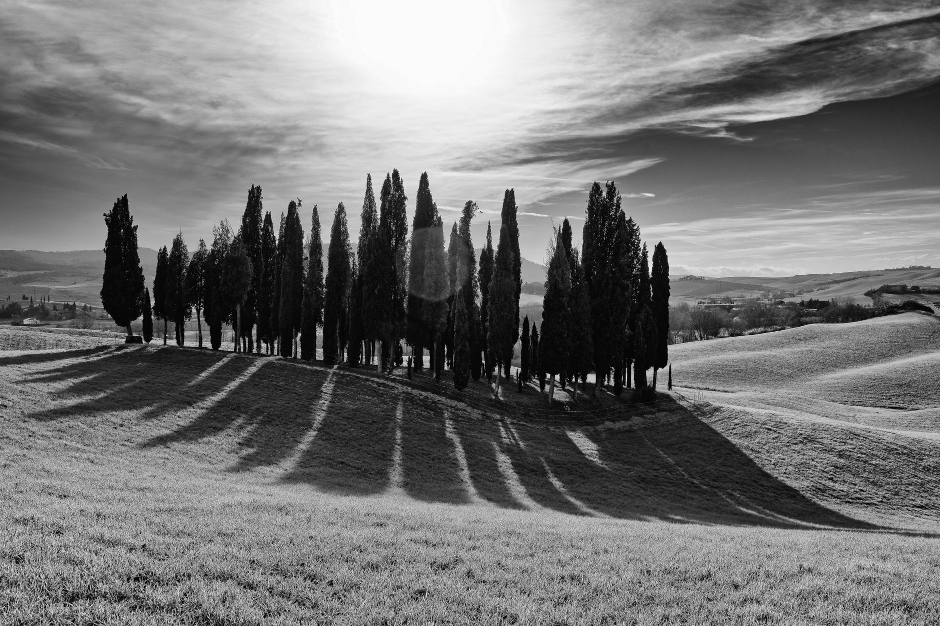 Sunlit olive groves and rustic stonework in southern Tuscany